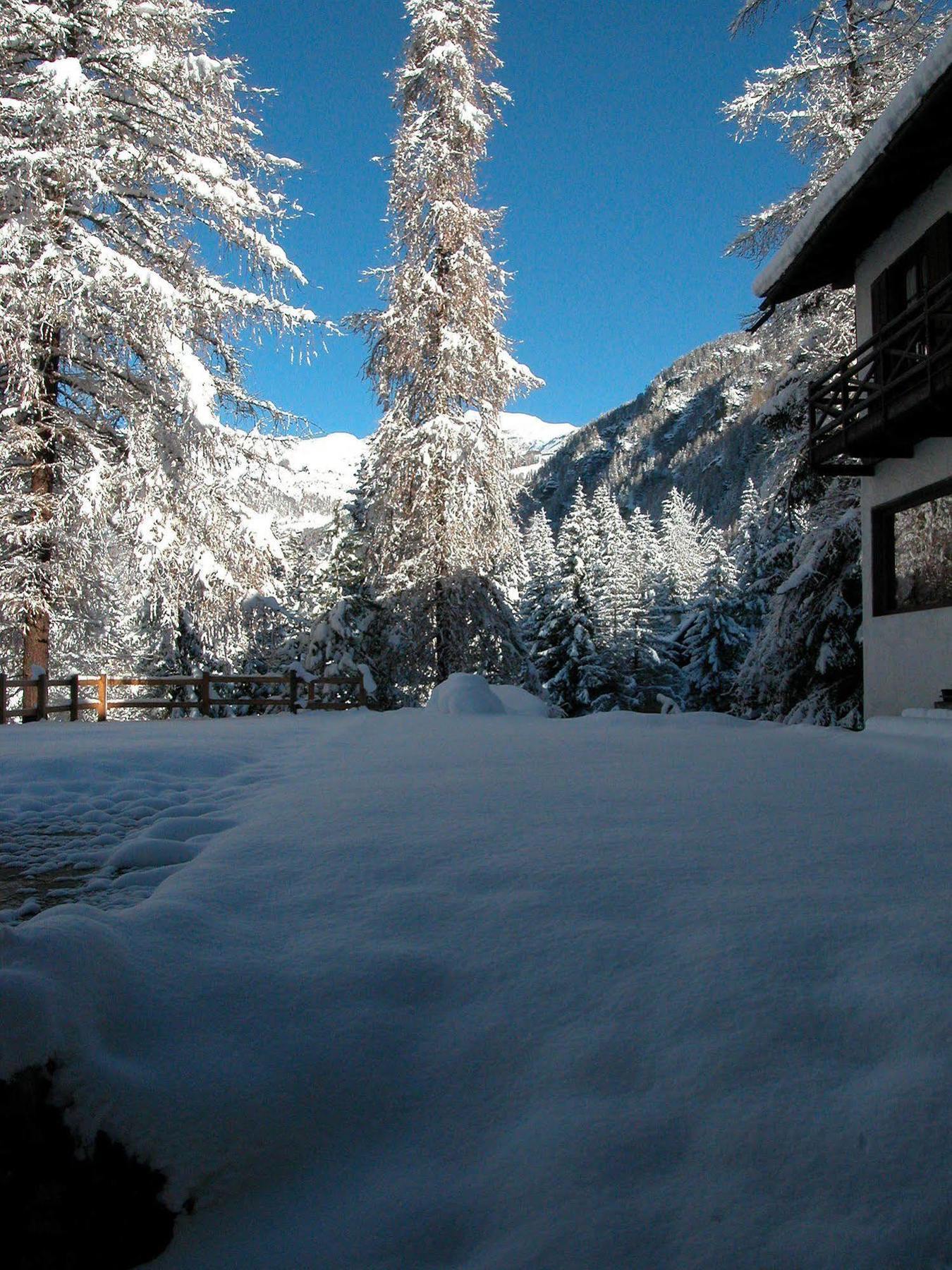 Albergo Villa Anna Maria Champoluc Extérieur photo